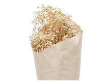 Load image into Gallery viewer, Dried Babys Breath Gypsophila
