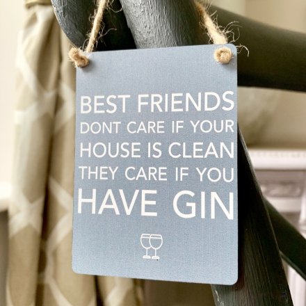 Care If You Have Gin Mini Metal Sign