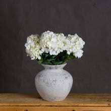 Load image into Gallery viewer, Darcy Antique White Vase
