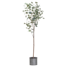 Load image into Gallery viewer, Large Eucalyptus Tree In Metallic Pot
