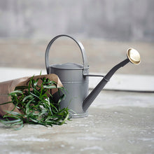 Load image into Gallery viewer, Watering can, Wan, Grey
